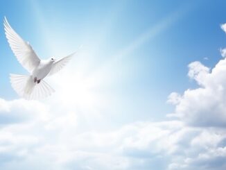 louis todaro wayne nj obituary