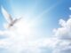 louis todaro wayne nj obituary