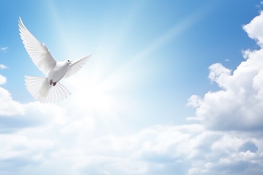 louis todaro wayne nj obituary